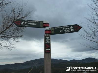 Senda Genaro - GR300 - Embalse de El Atazar -El Atazar - Robledillo de la Jara -Cervera de Buitrago